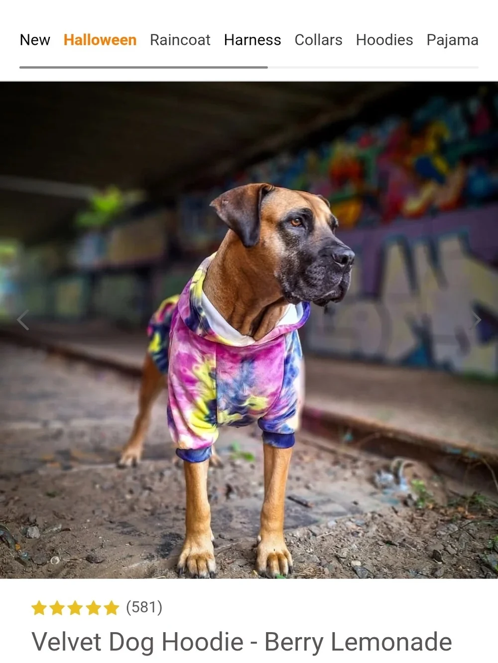 Spark Paws Tie-Dye Dog Hoodie in Multicolor